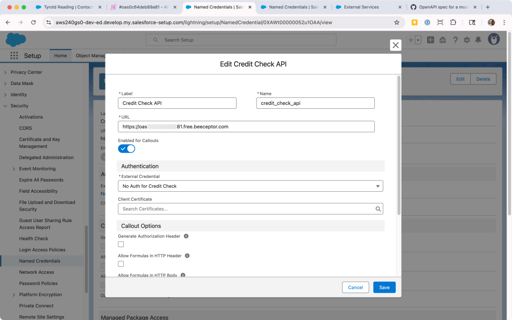 Named Credential for mock API